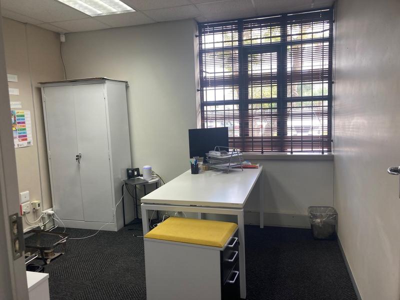 To Let Commercial Property for Rent in Newton Park Eastern Cape
